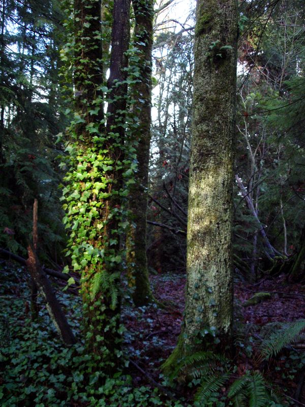 DSC09228.jpg