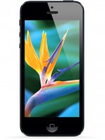 iphone_5_display-150x200.jpg