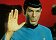 tn3spock.jpg