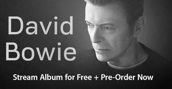 bowie.png