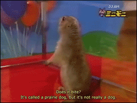 86rukpl.gif