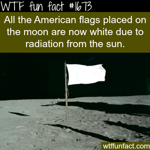 flag4.png