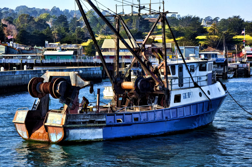MonteryBay0037.jpg