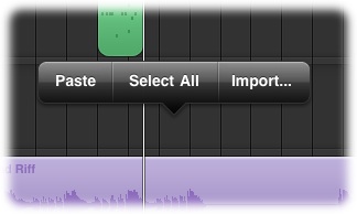 garageband_ipad_audio_paste_import.jpg