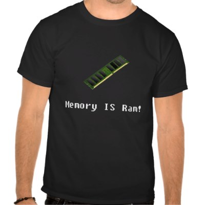 memory_is_ram_tshirt-p235429741390121137z8nqd_400.jpg