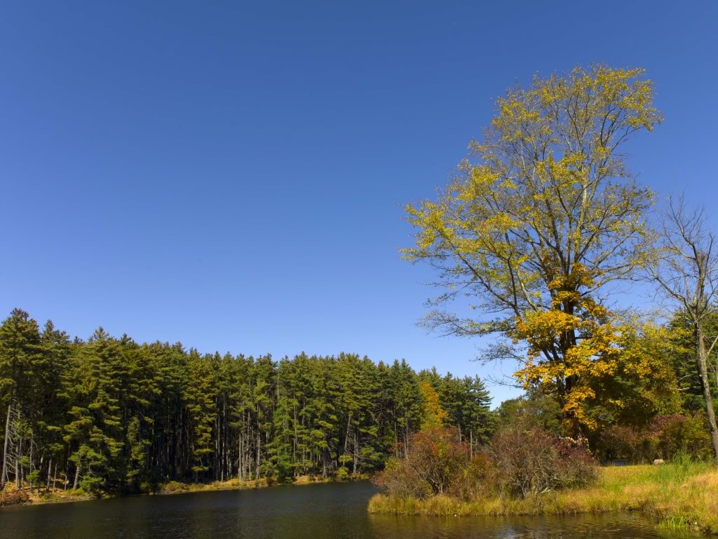 lake2912a.jpg