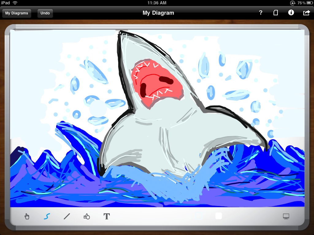 Whiteboard_shark.jpg
