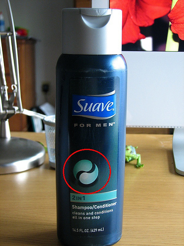 92710792_8e6d2ec710.jpg
