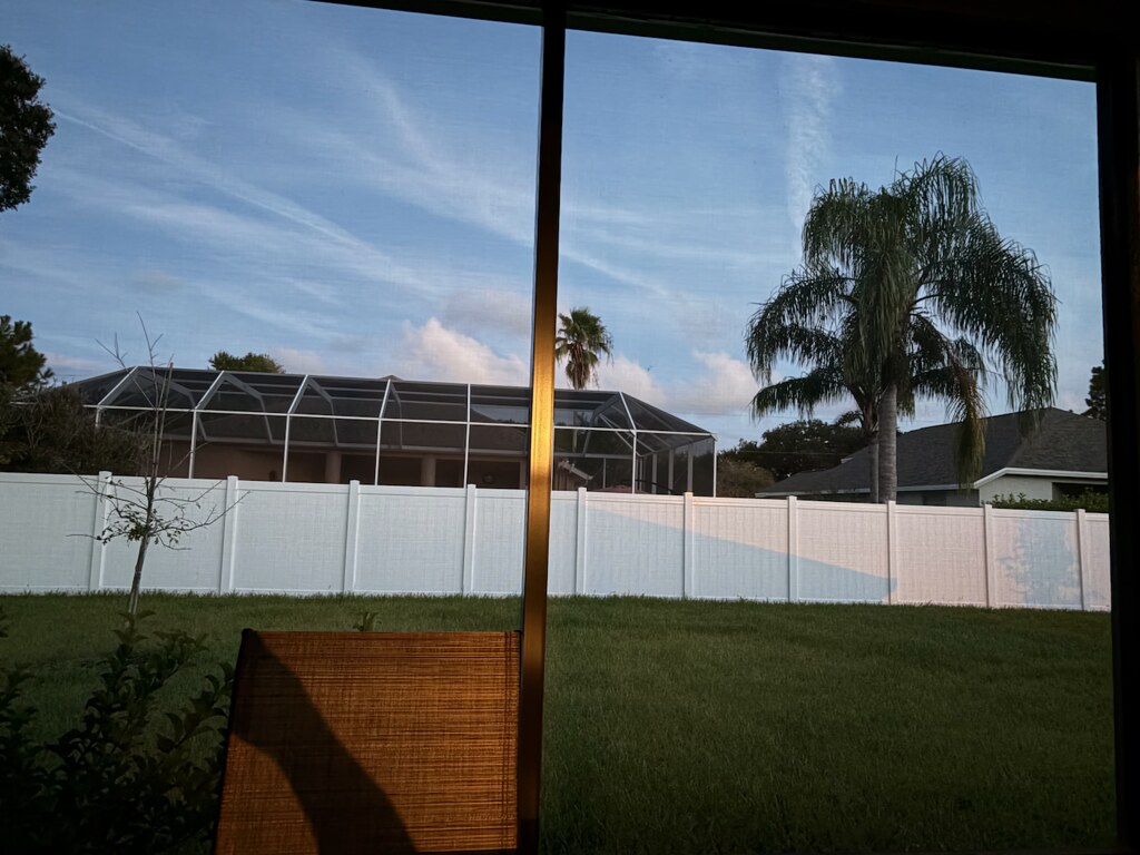 54803504079_fc750075c9_b.jpg