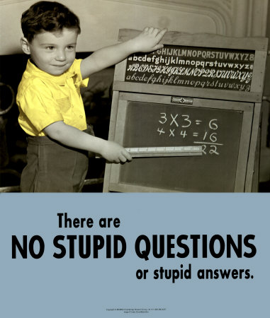 no-stupid-questions-or-answers.jpg