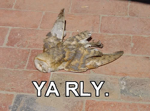 56733884_8a9876603c.jpg