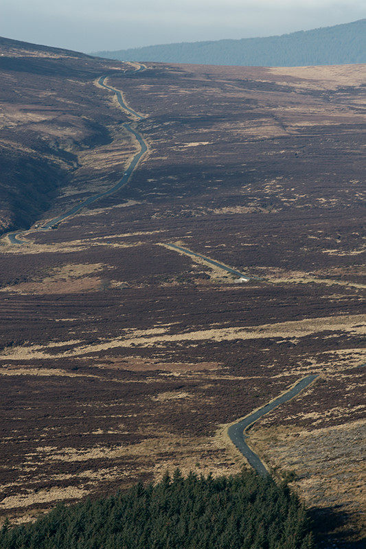 wicklow0085.jpg