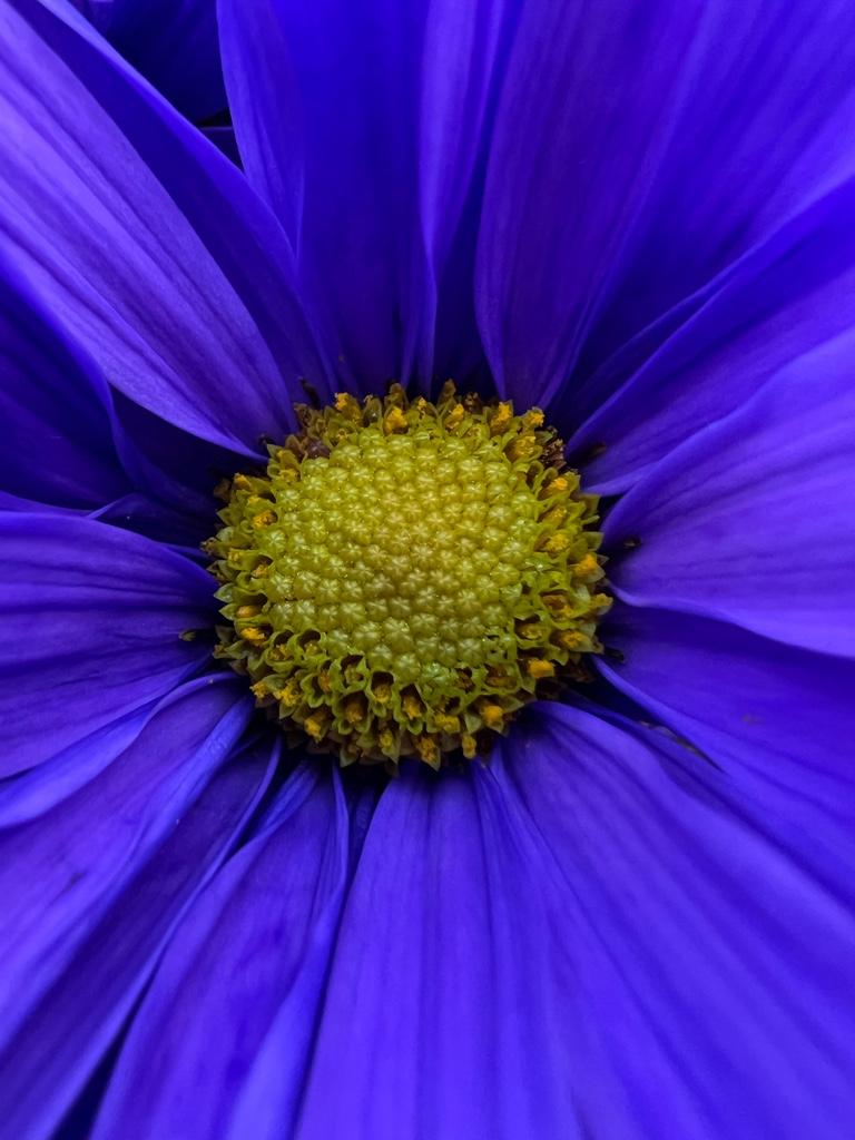 882307b4db6fd79e149f7d763d9e0a33.jpg