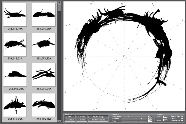 Black-and-white-logogram.jpg