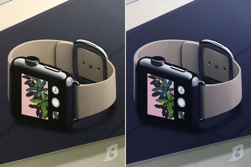 modernbucklecolorcorrected-800x532.jpg
