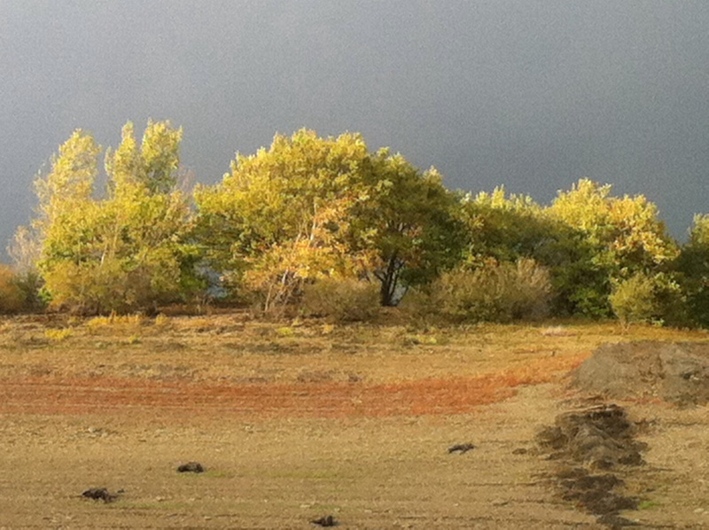 p967007559-4.jpg