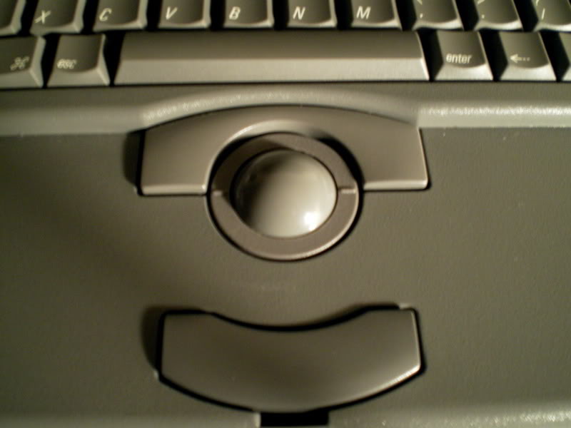 IMGP0140.jpg