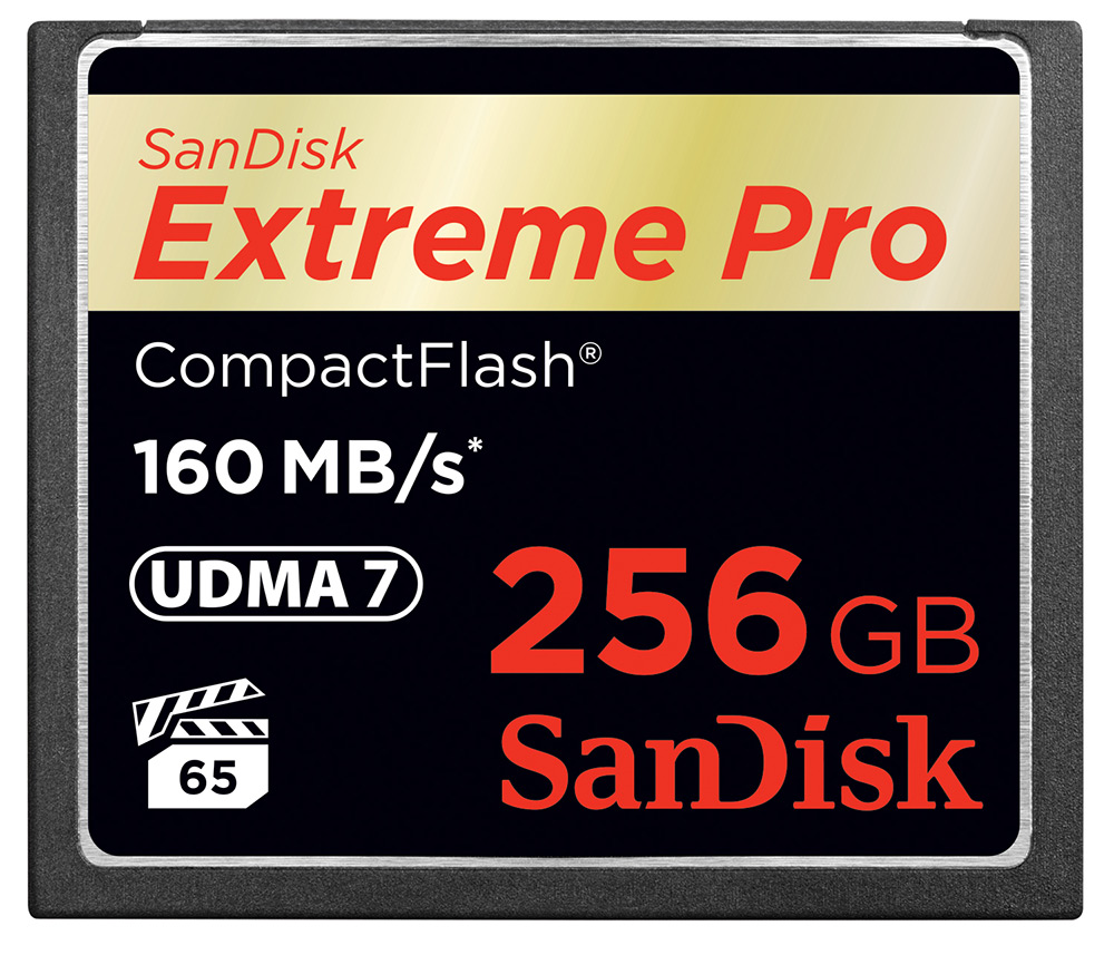 Sandisk_3.jpeg