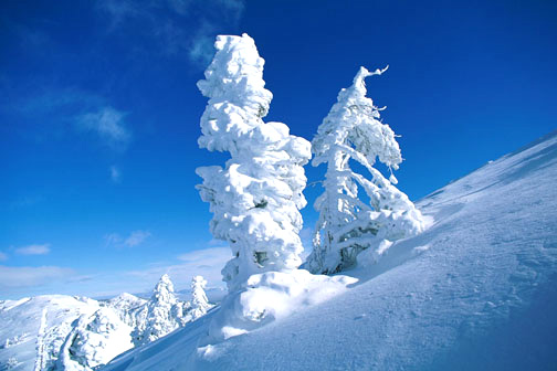 vinter.jpg