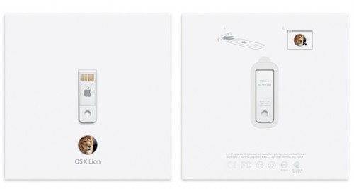 lion-500x267.jpg