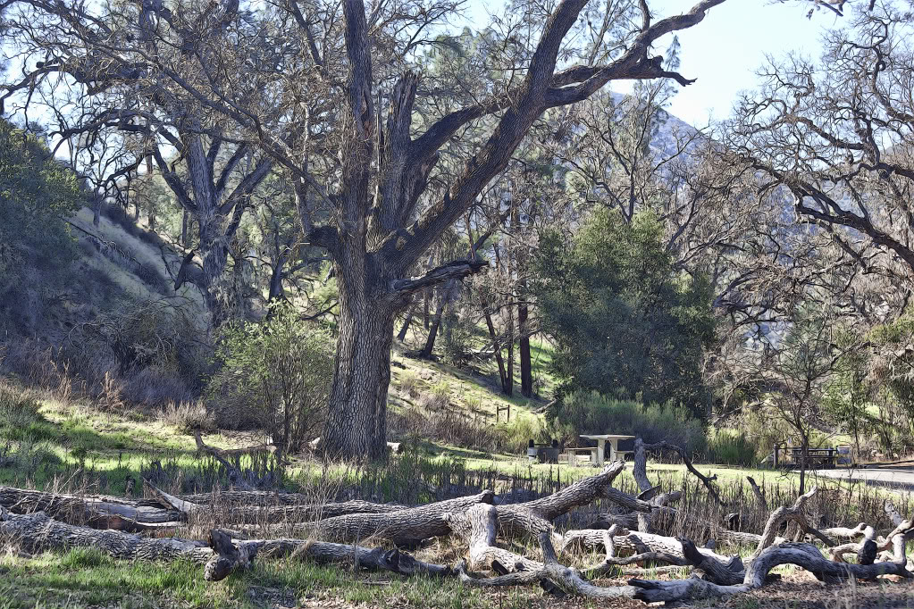pinnacles005.jpg