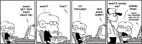 foxtrot_kernel_panic.gif