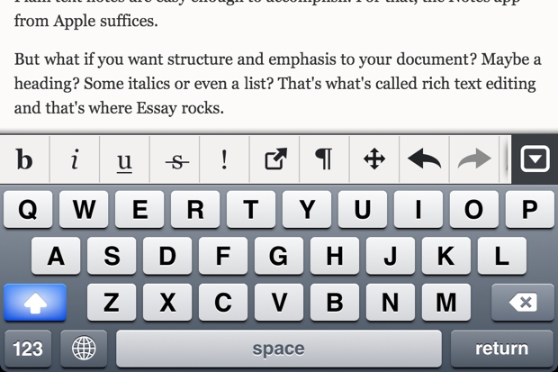 01_essay_interface.jpg