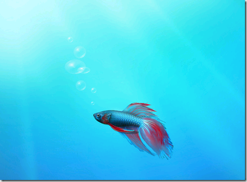image_0CCAD8C2.png