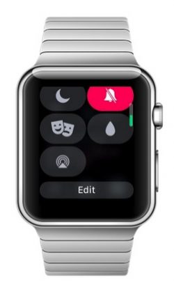 watchOS-5-control-center-edit-icons-250x422.jpg