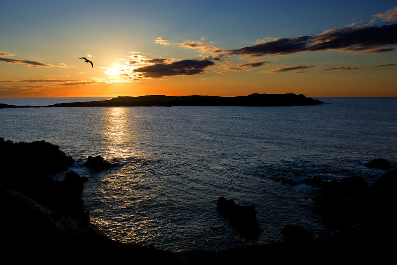 PHD_5870-L.jpg