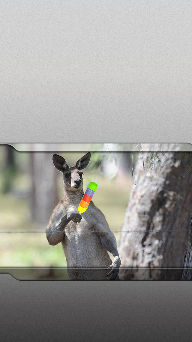 kangaroo.jpg