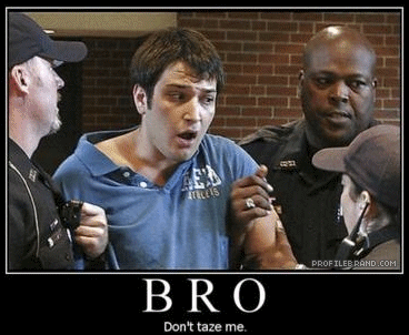 53_dont-taze-me-bro.gif