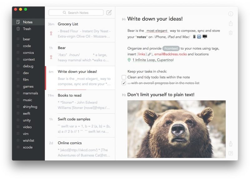 Bear-Notes-Mac-800x573.jpg