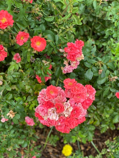 dbde35cf40933c002855a32f6f9f9a4a.jpg
