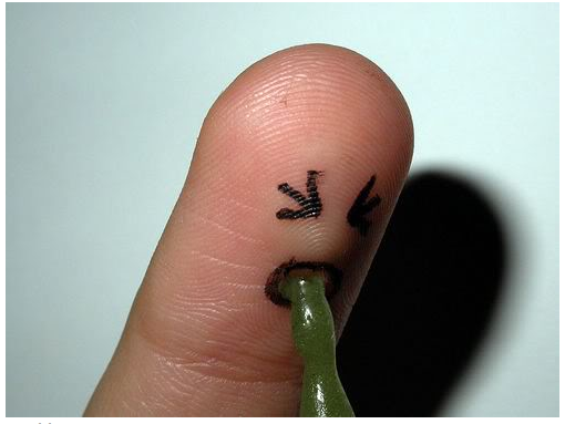 vomiting%20Finger.png