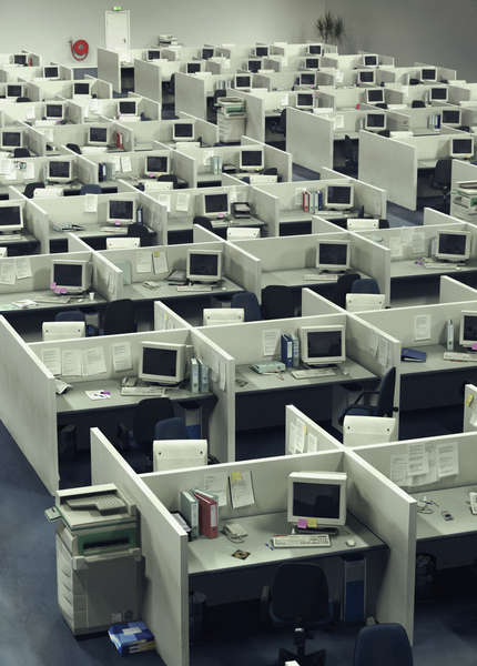 cubicle-jungle.jpg