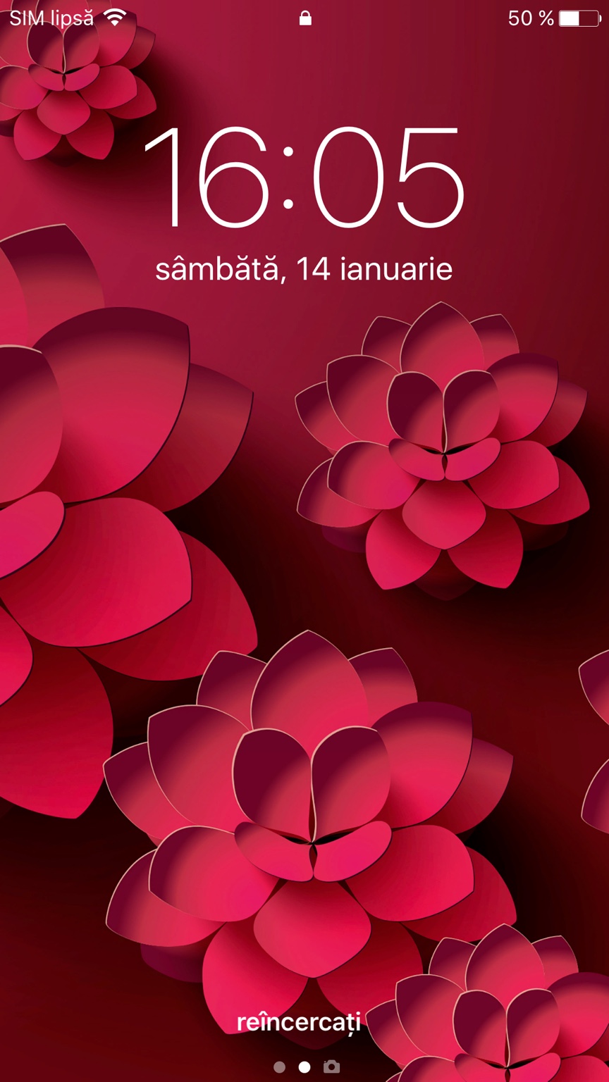 d407ad173c2b2c16d6f16722d129fee0.png
