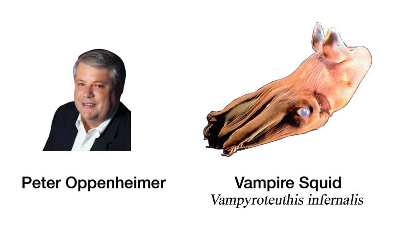 VampireSquid.jpg