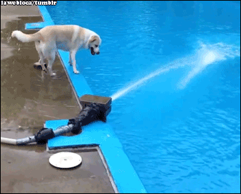 811QPR5.gif