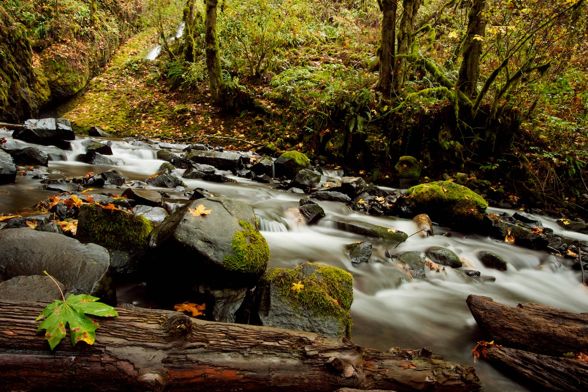 waterfallsgorge20121019.jpg
