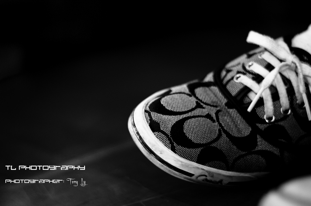 4637267092_66d0cb91d0_b.jpg