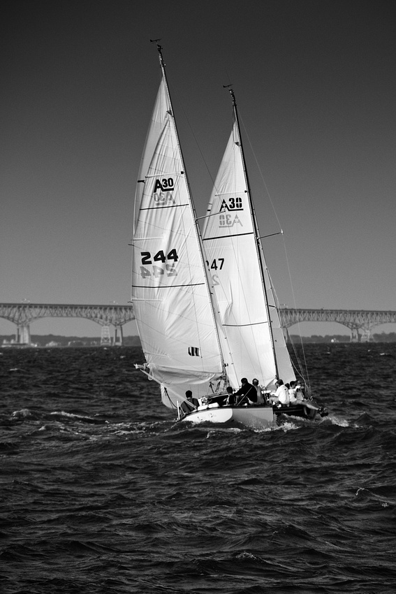 p420205447-5.jpg