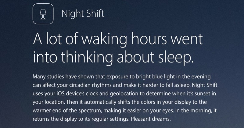 nightshift-800x420.jpg