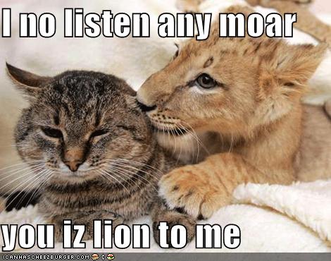 lion-lolcat.jpg