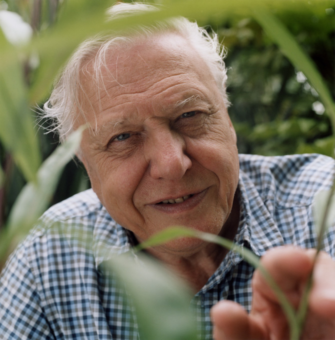 Sir-David-Attenborough.jpg