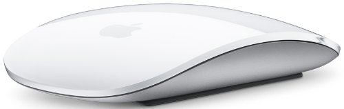 31LyNe-LrGL.jpg