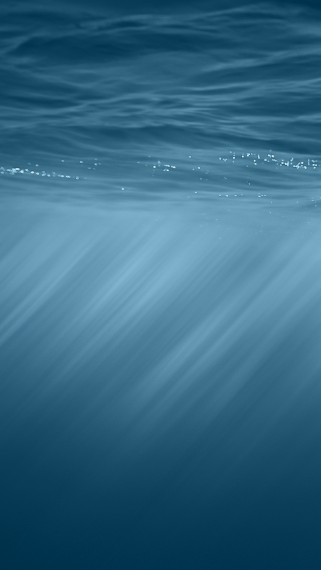 14357032004_7749dfccef_o.png