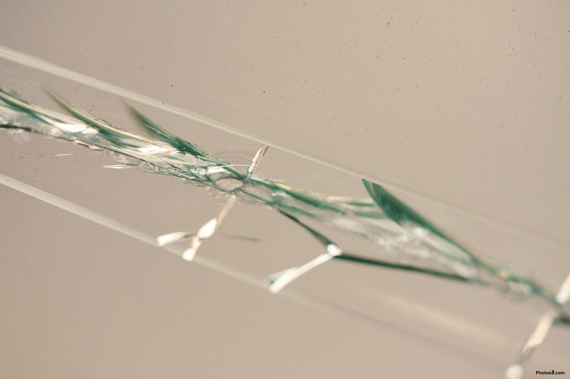 cracked_glass-other.jpg