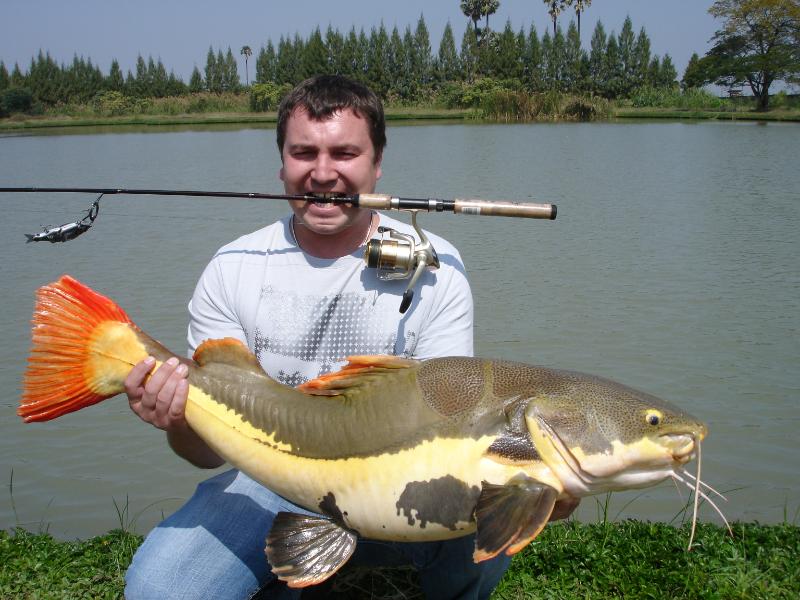 namethatfish5.jpg