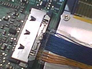0219081425yf3.jpg